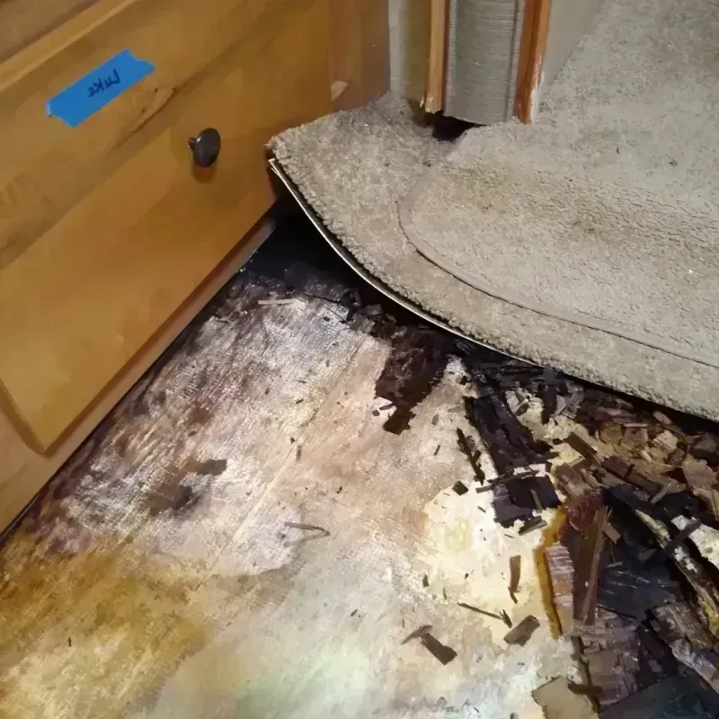 Wood Floor Water Damage in Bedford, TX